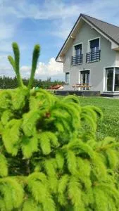 Polny Domek - 德武戈波莱兹德鲁伊