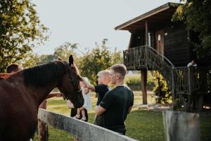 Treehouse Drevesna hiška Štrkovo gnezdo Ranč Jureš