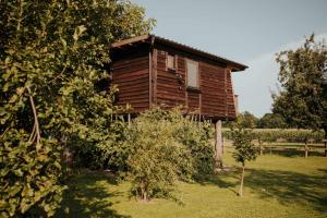 Treehouse Drevesna hiška Štrkovo gnezdo Ranč Jureš 
