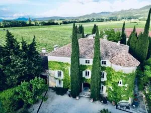 LA PONCHE - 瓦凯拉