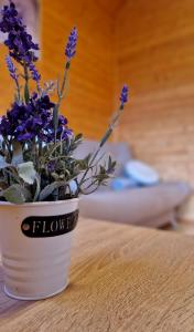 Domki Letniskowe Lawenda