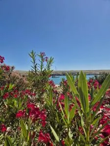 Apartment Perla - Dinjiška