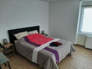 Appartements Appart cosy aux ecluses du port : photos des chambres