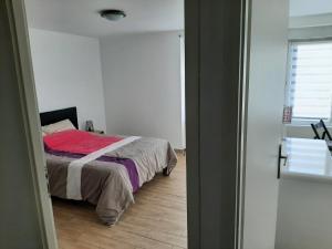 Appartements Appart cosy aux ecluses du port : photos des chambres