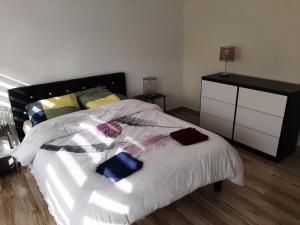 Appartements Appart cosy aux ecluses du port : photos des chambres