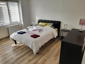 Appartements Appart cosy aux ecluses du port : photos des chambres