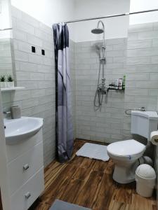 Cezar Home Studio Sibiu