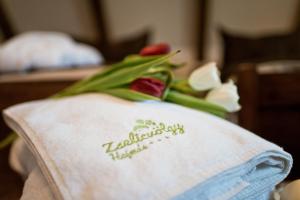 Zselicvölgy Szabadidőfarm