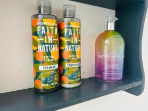 Glastonbury Festival en-suite Studio with Kitchenette - 2 miles to site