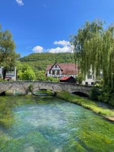 Blickfang Lichtenstein