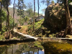 Quinta da Torre 7 suítes Cachoeira SPA aquecido