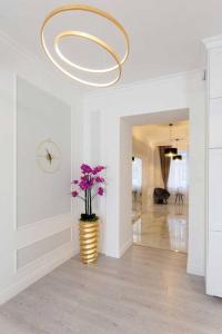 Luxurious Central King and Queen Bed Park4Free