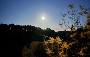 Maisons de vacances Awesome Home In Prades Sur Vernazobre : photos des chambres