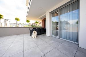 Miodowy apartament z dużym tarasem w Rewalu, blisko morza