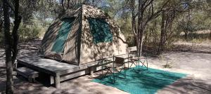 Hyenas howl campsite