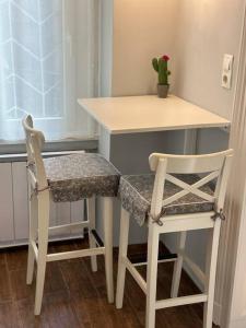 Fancy Cozy 2 BDR Downtown Apt