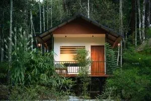 BLUE CREEK - Nilambūr