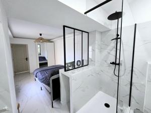 Appartements Pic chic : photos des chambres