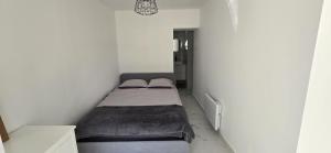 Appartements Pic chic : photos des chambres