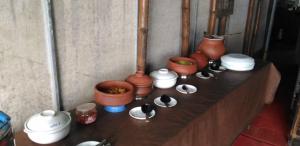 Regina Silva Jungle Resort