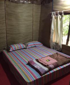 Regina Silva Jungle Resort