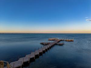 Estrella de Mar - Alerces II