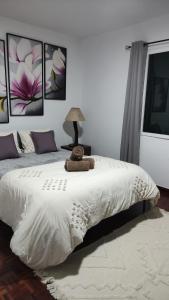 Villa Correia - Ribeiro Frio