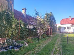 Verde Domol - casa individuala