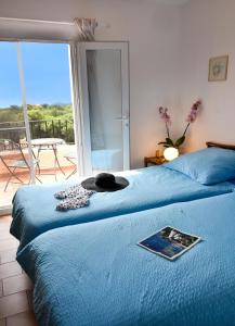 Appartement avec piscine cozy spacieux, climatise, vue mer! Plages et centre 15 mns!
