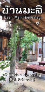 Baan Mali Lampang Homestay