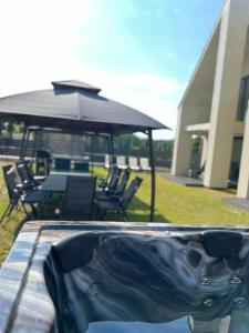 Mazurskie Niebo Apartament 1