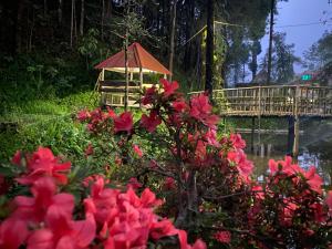 Bloomfield Farmhouse and Eco-Resort