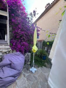 maison de vacances Médiévale Bormes-les-Mimosas village