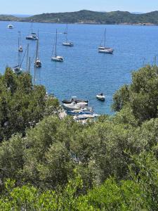 Appartements maison de vacances Medievale Bormes-les-Mimosas village : photos des chambres