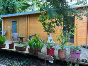 Maisons de vacances GITES du BOIS des PERRUCHES : photos des chambres