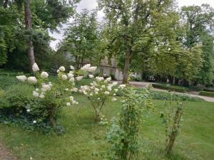 Apartament u Mariusza