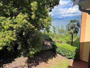 Apartamento con vistas al lago