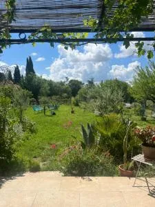 L'oléastre en Luberon 2 - La Dône