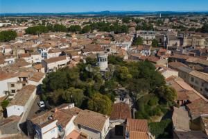 Appartements NOUVEAU Jungle Village WIFI Netflix Clim : photos des chambres