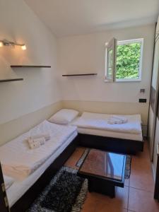 Cozy apartment near beach in Gajac