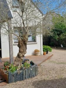 Un ptit coin de paradis chez JF et Daisy à Plouescat