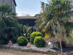 Sejours chez l'habitant Un ptit coin de paradis chez JF et Daisy a Plouescat : photos des chambres