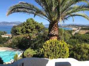 Villas Villa Sampiero, sur mer, piscine et plage a pieds : photos des chambres