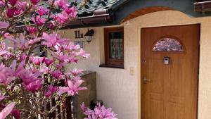 APARTAMENTY-STUDIO noclegi wczasy wakacje ferie - pobyty rodzinne