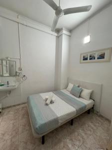 Double Room with Shared Bathroom room in Central and Basic Solarium