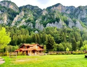 Wild Carpathian Retreat - 萨提克