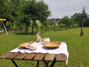 Happy Family House Velence - Nadap