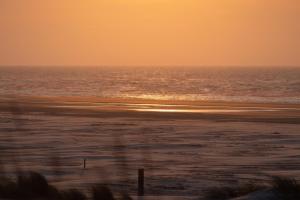 Little Canvas Escape