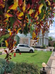 Luxury 2BR apartment