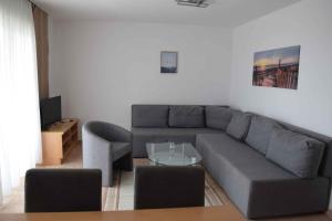 Apartment Novigrad 1